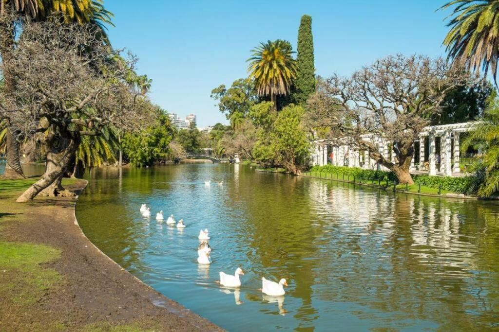 Excelente Piso Muy Luminoso En Palermo Apartment Buenos Aires Bagian luar foto